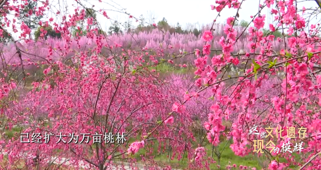 桃花源_桃花源记_桃花源记原文